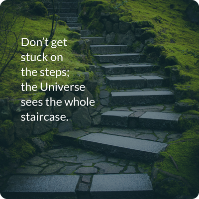 Don't get stuck on the steps; the Universe sees the whole staircase.