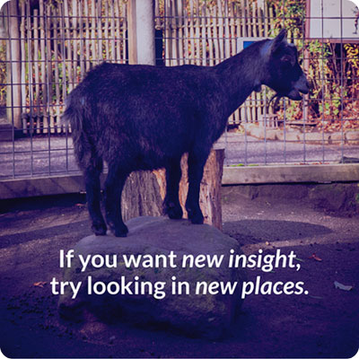 If you want new insight, try looking in new places.